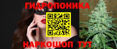 дмт Аша