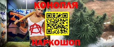 дмт Аша