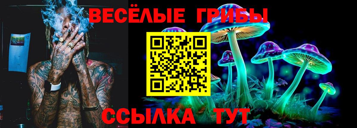 Псилоцибиновые грибы Magic Shrooms Касимов
